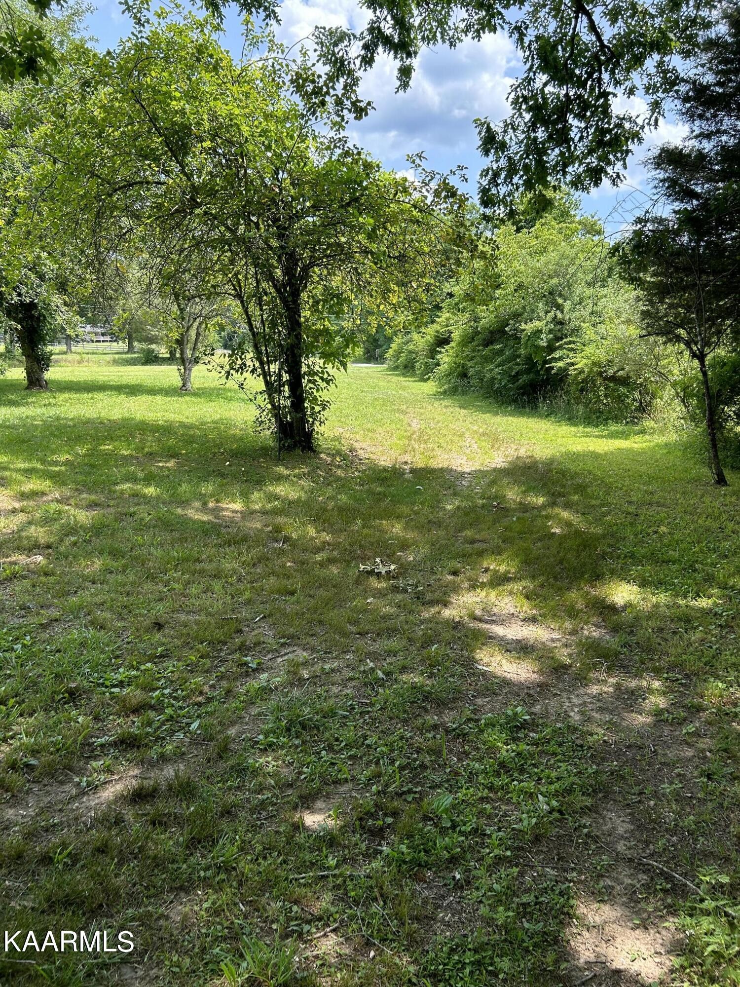 866 Niggs Creek Road Oneida, TN 37841 - Photo 4 of 39 a view of outdoor space with trees all around