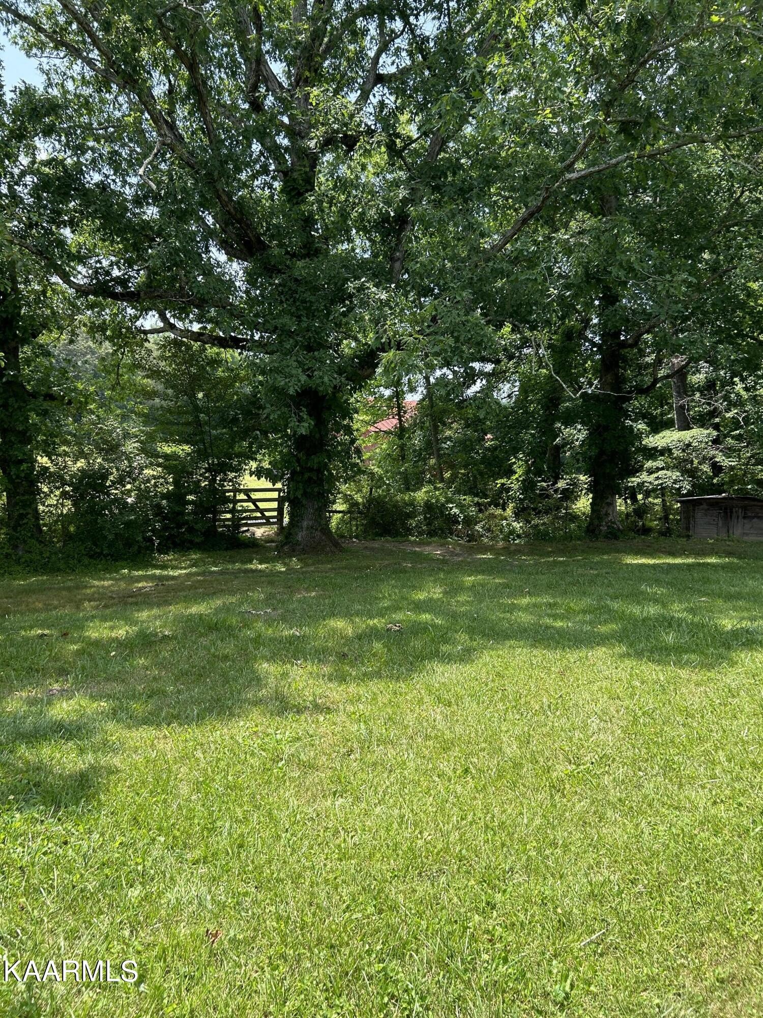 866 Niggs Creek Road Oneida, TN 37841 - Photo 5 of 39 a view of a field of grass and trees