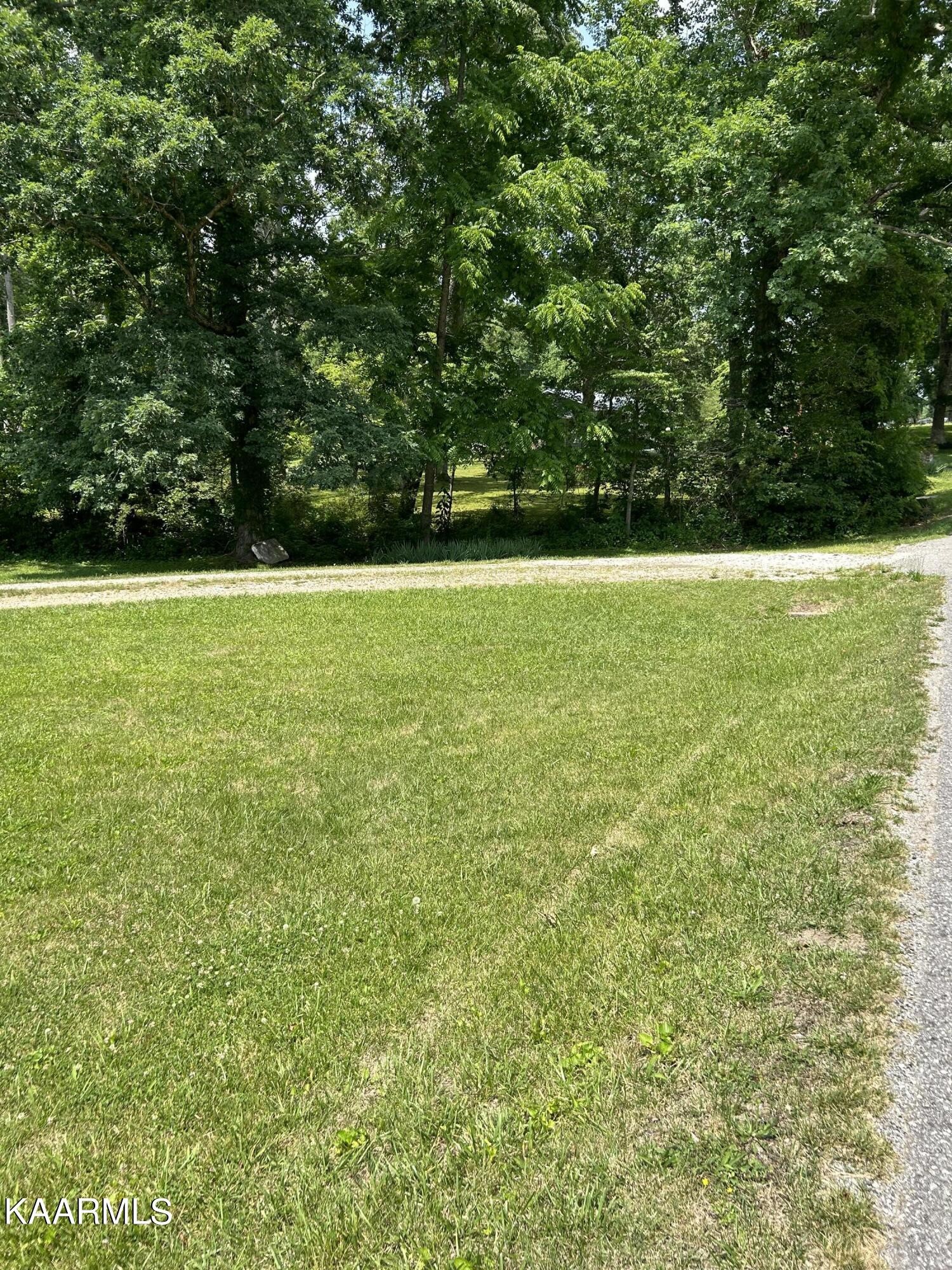 866 Niggs Creek Road Oneida, TN 37841 - Photo 6 of 39 a view of yard with swimming pool