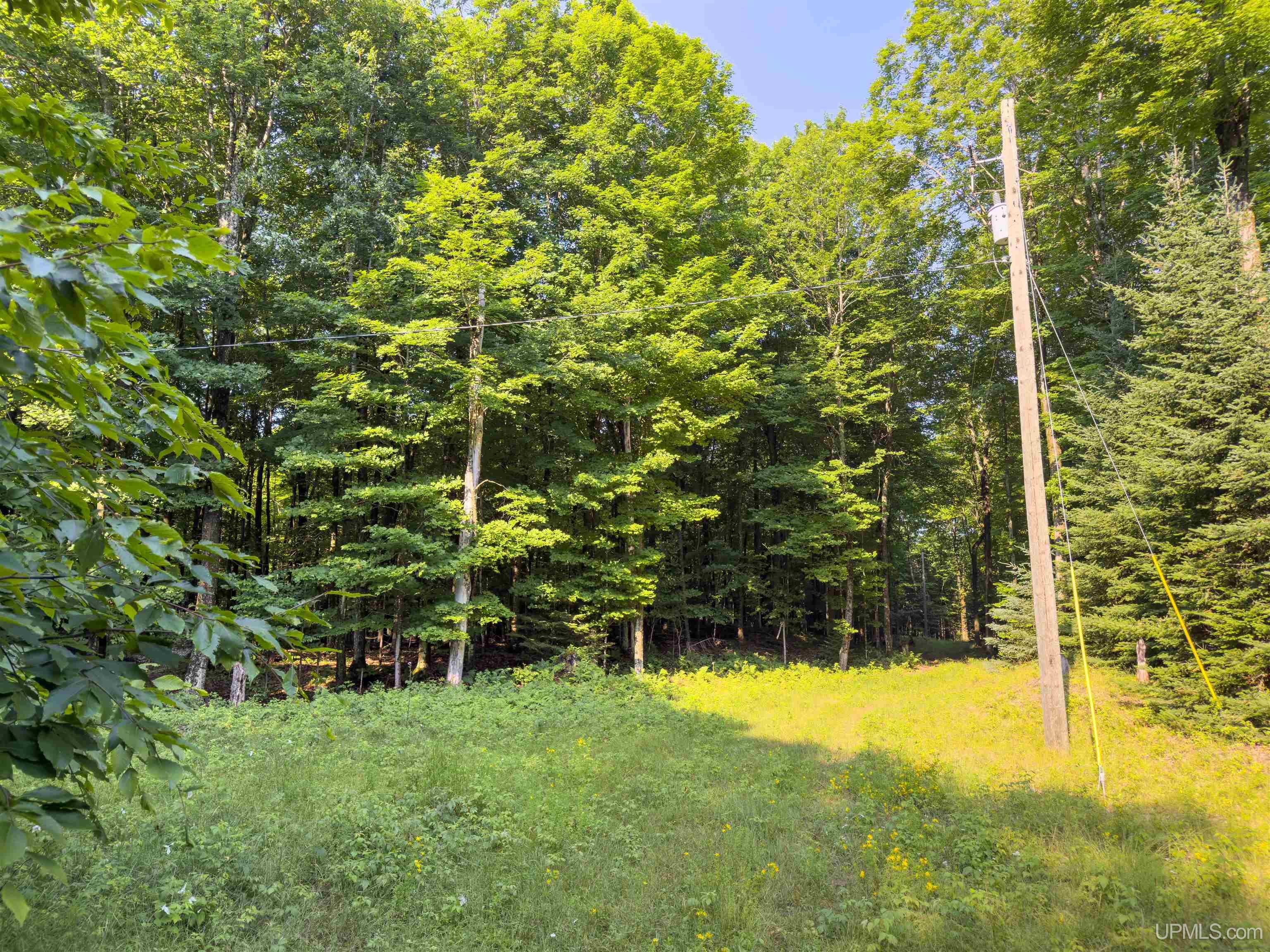 2504 Little Harbor Road Manistique, MI 49854 - Photo 17 of 18 Gallery Image 17