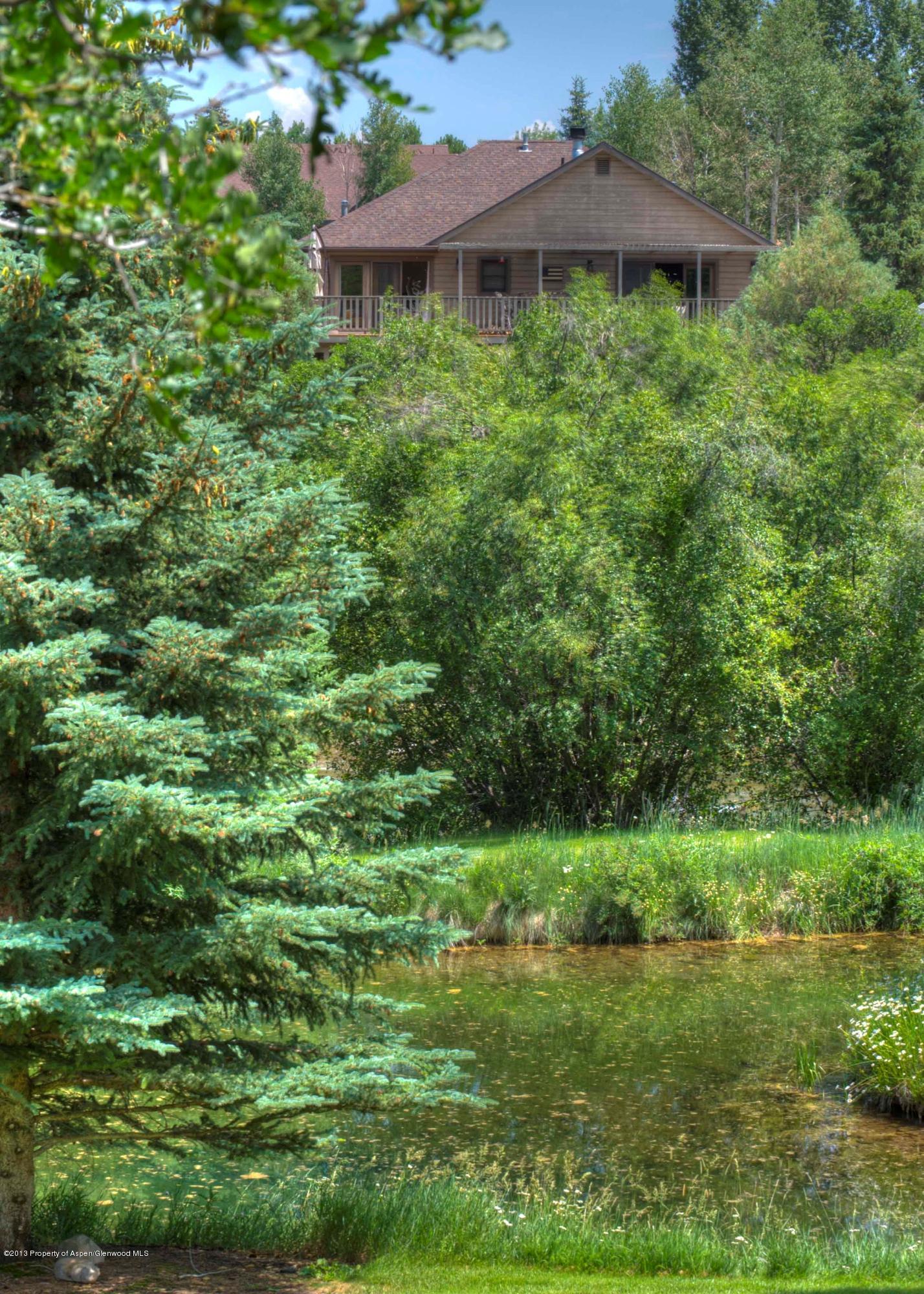 375 Oak Run Road Carbondale, CO 81623 - Photo 23 of 23 star6_21