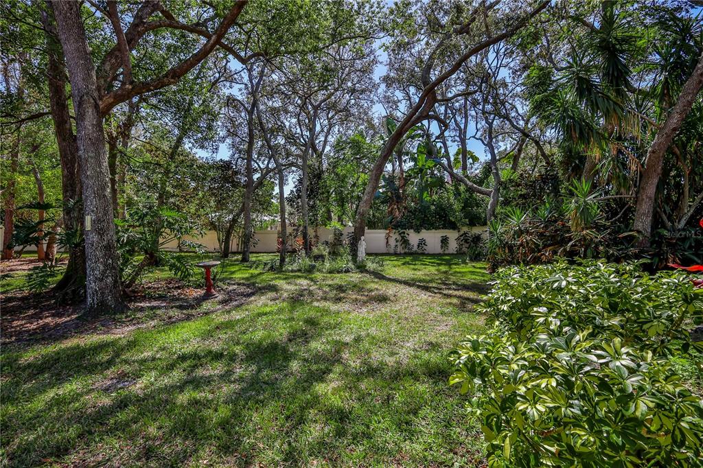 6375 Ocean Pines Lane Spring Hill, FL 34606 - Photo 35 of 50 a view of a yard with a tree