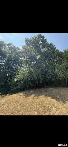 $49,900 | 323 Buena Vista Street, Bartonville, IL 61607