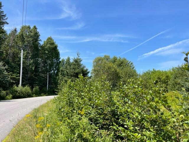 Lot 9 Wilcox Road Lubec, ME 04652 - Photo 16 of 29 IMG_5539