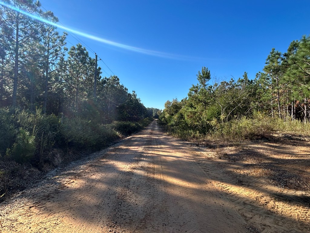 140/ Cty Road Headland, AL 36345 - Photo 23 of 33