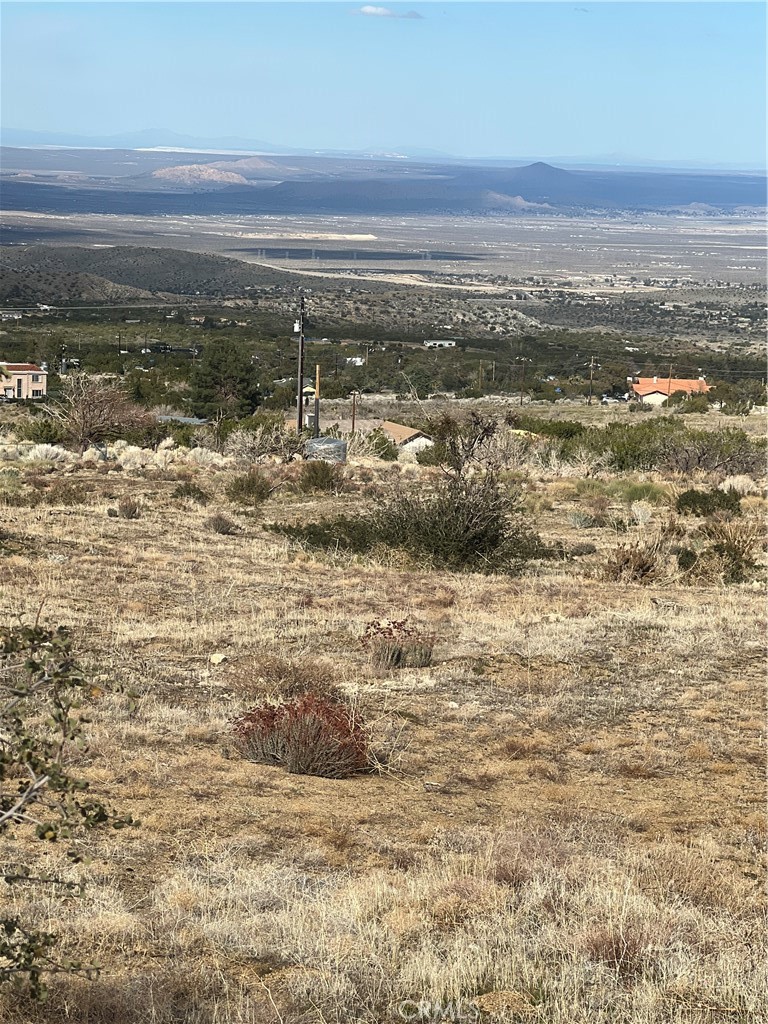 10510 Piute Road Littlerock, CA 93543 - Photo 2 of 13
