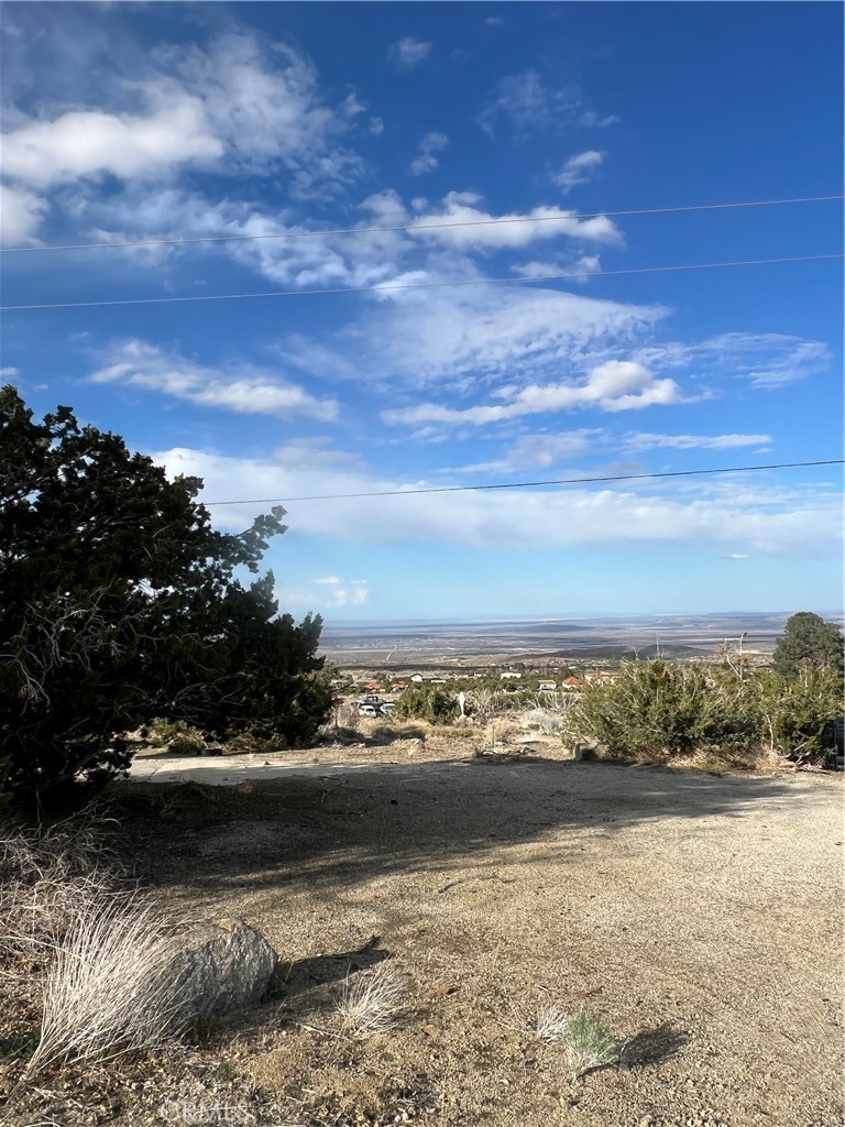 10510 Piute Road Littlerock, CA 93543 - Photo 4 of 13