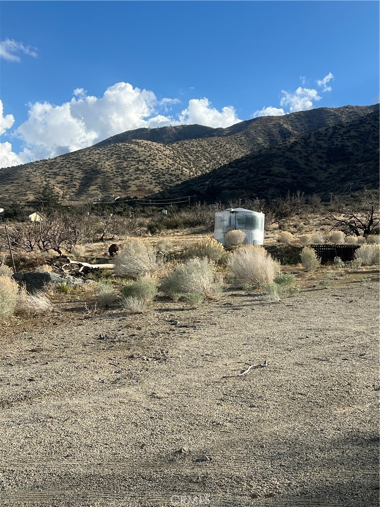 10510 Piute Road Littlerock, CA 93543 - Photo 5 of 13