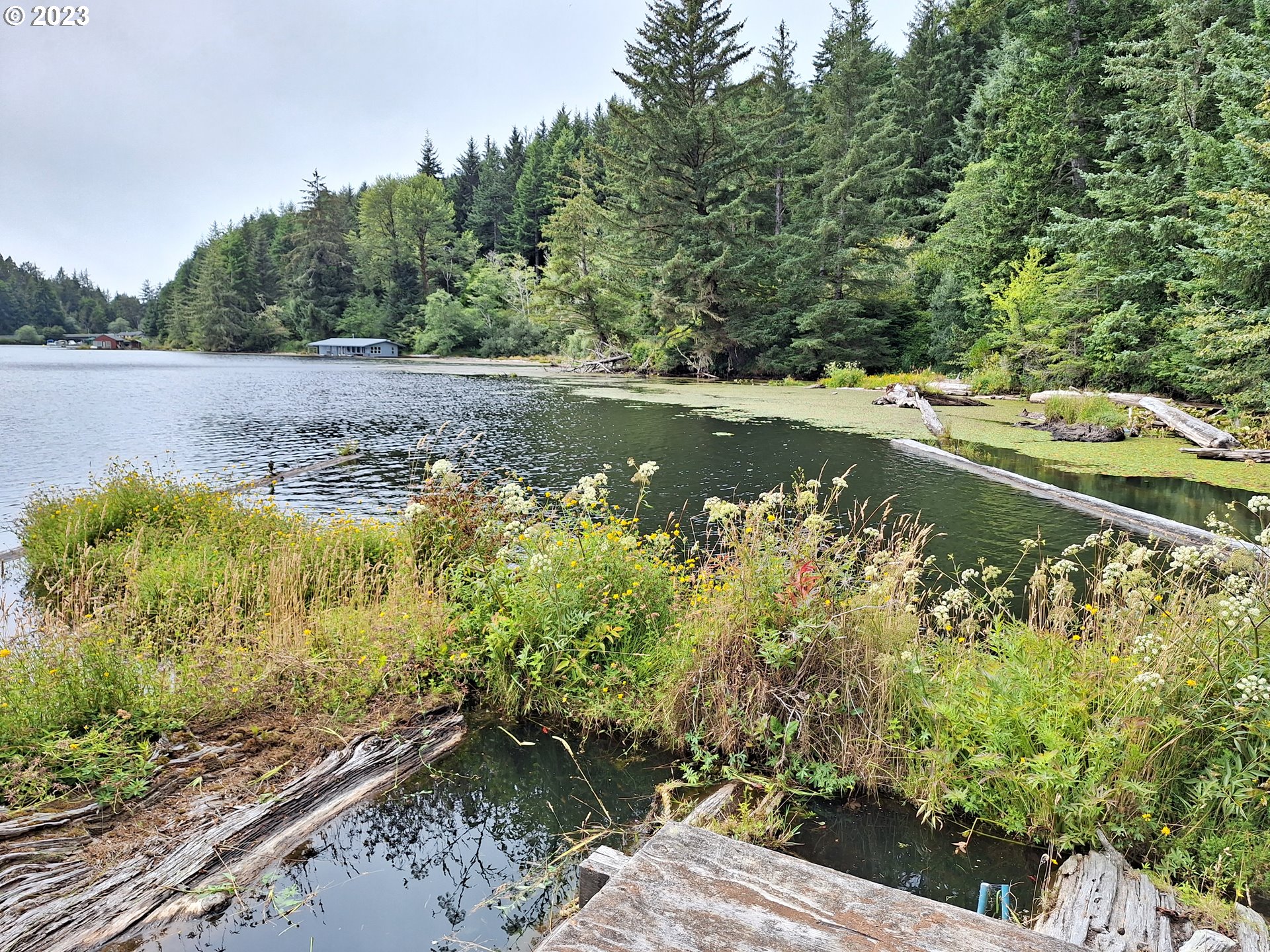 Tahkenitch Gardiner, OR 97441 - Photo 5 of 12 a view of a lake with a yard