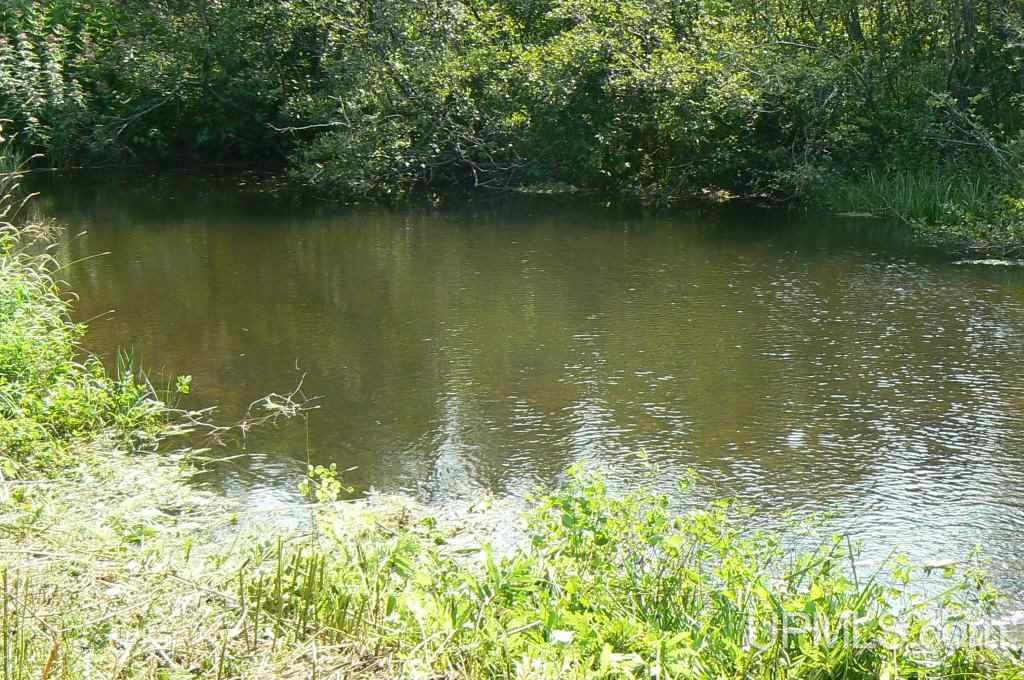 E4187 Slapneck Road Chatham, MI 49816 - Photo 28 of 34 Gallery Image 28