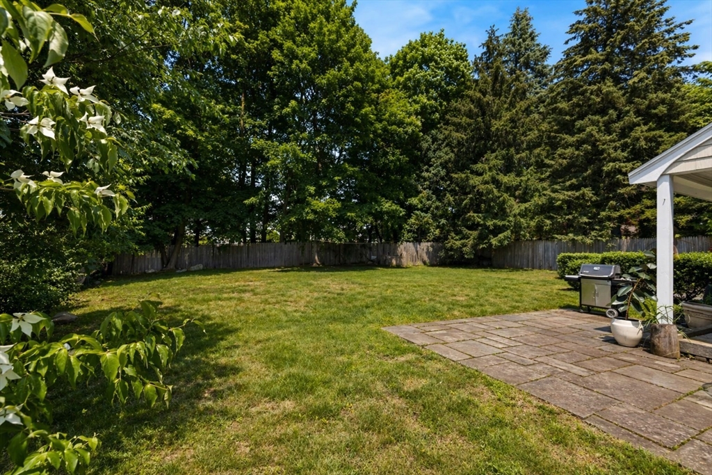 29 Boulevard Road Dedham, MA 02026 - Photo 31 of 34 a view of a park with large trees