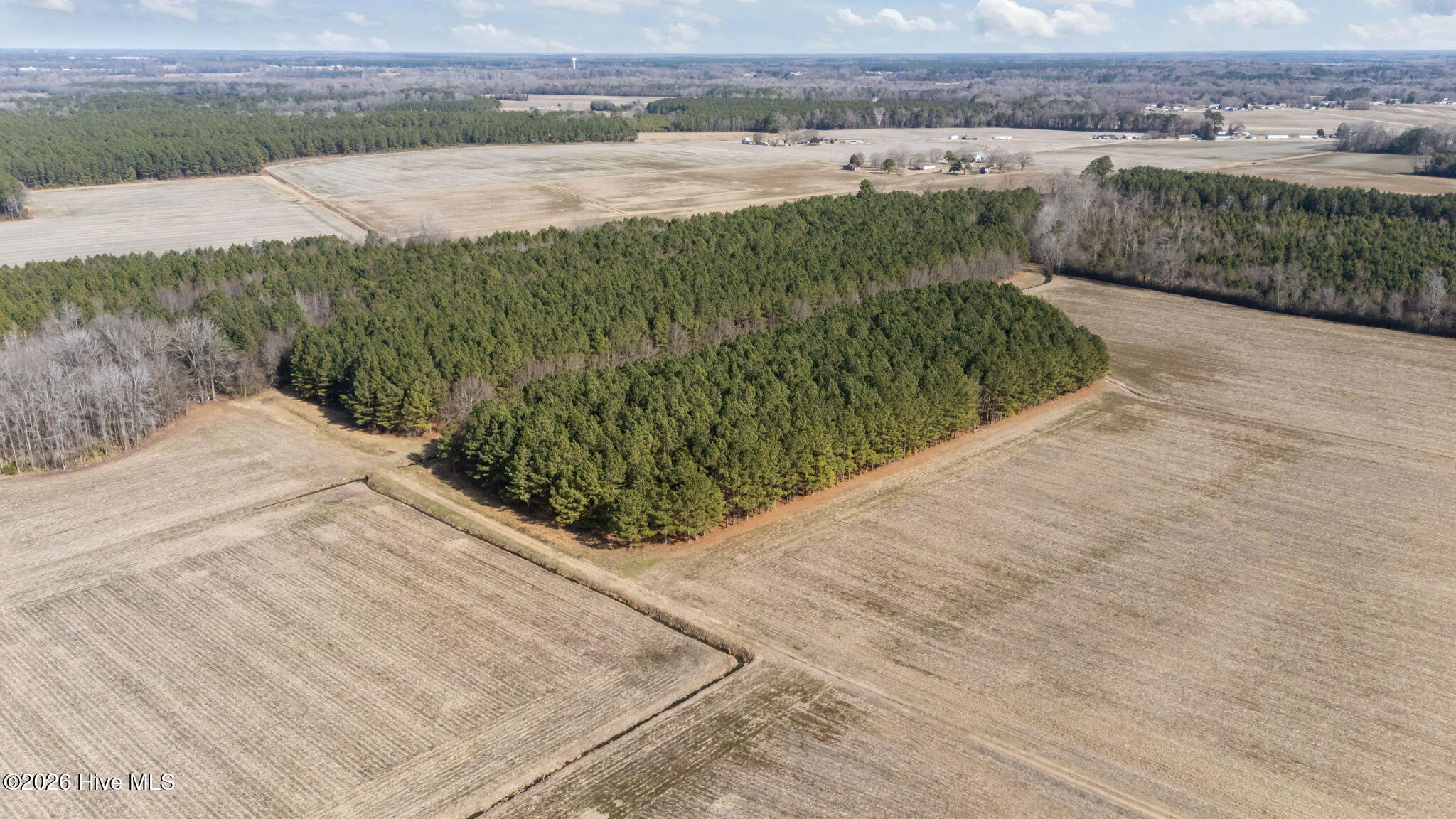0 Grifton Hugo Road Grifton, NC 28530 - Photo 4 of 14 2-web-or-mls-DJI_20260121125428_0525_D