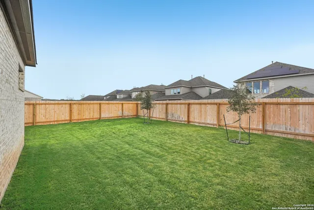 a view of a backyard with a garden and plants