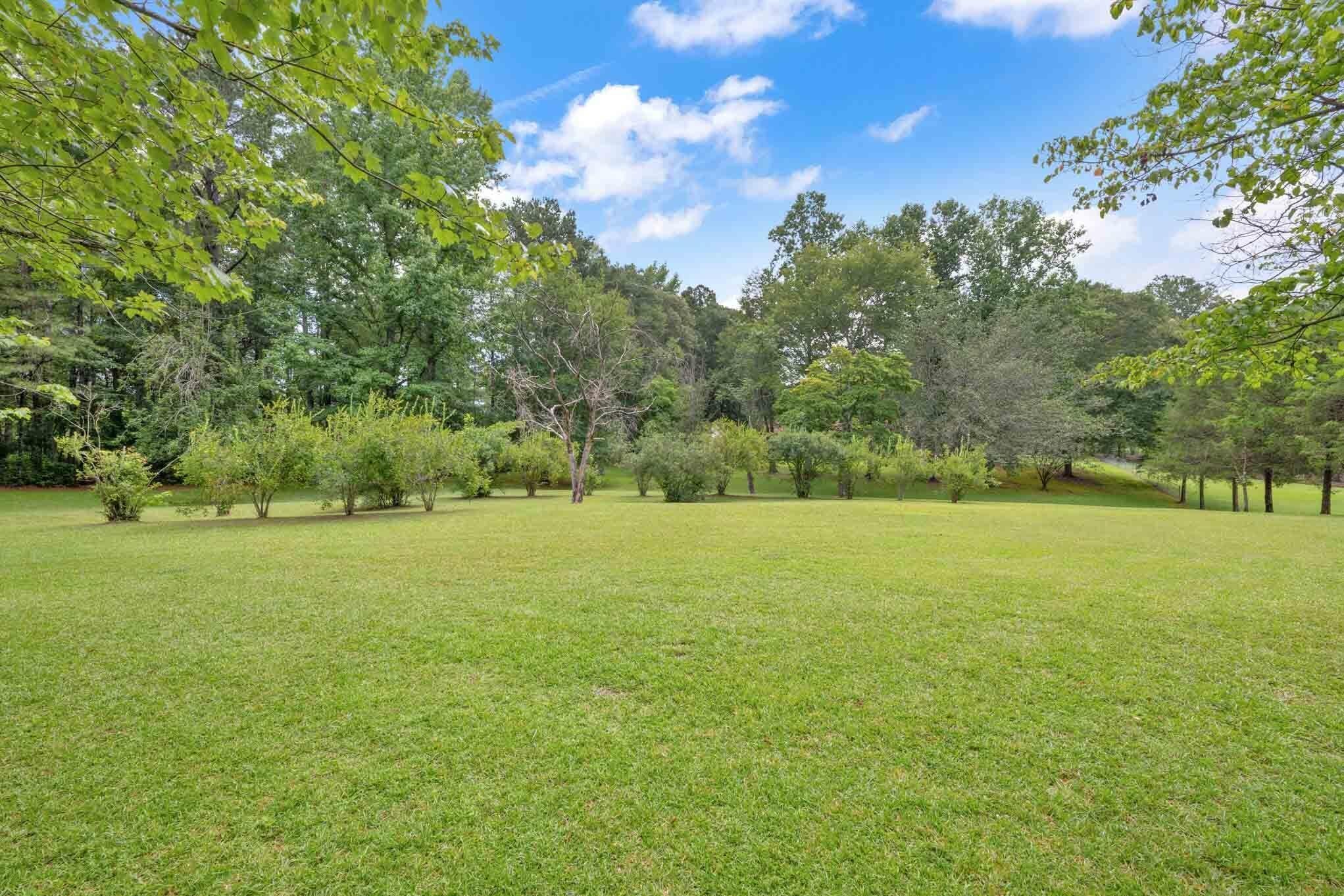 2614 New Prospect Road Jasper, AL 35503 - Photo 6 of 44 Gallery Image 6