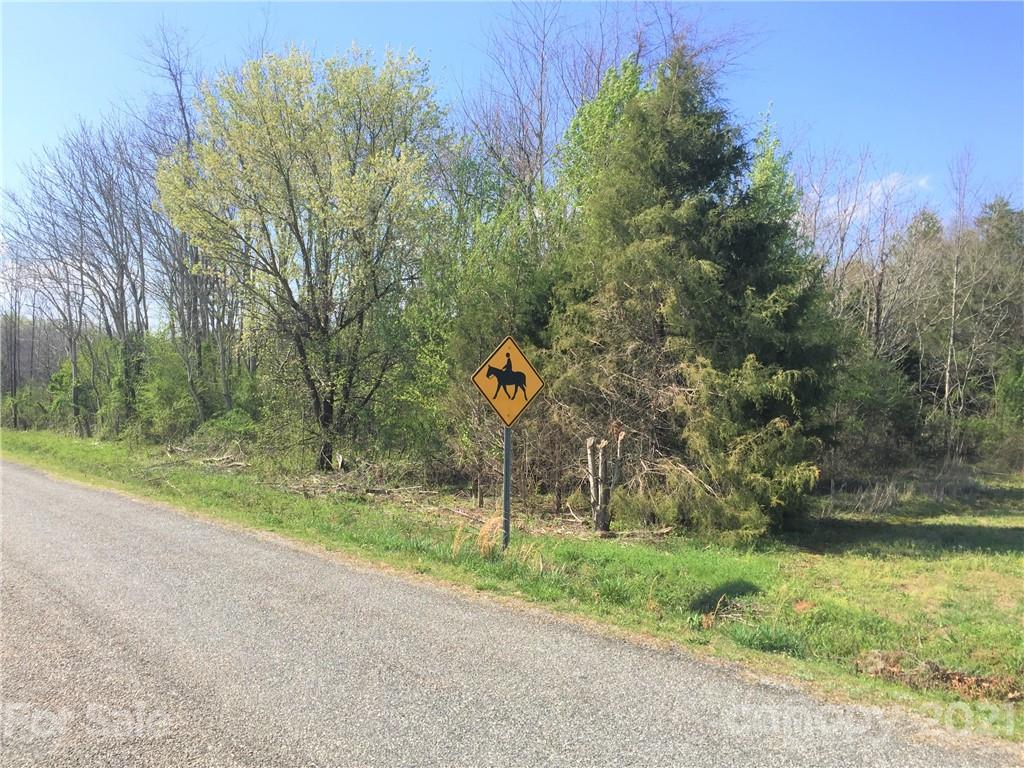 0 Scoggins Road Rutherfordton, NC 28139 - Photo 3 of 9 a road view