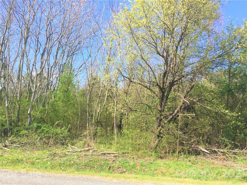0 Scoggins Road Rutherfordton, NC 28139 - Photo 5 of 9
