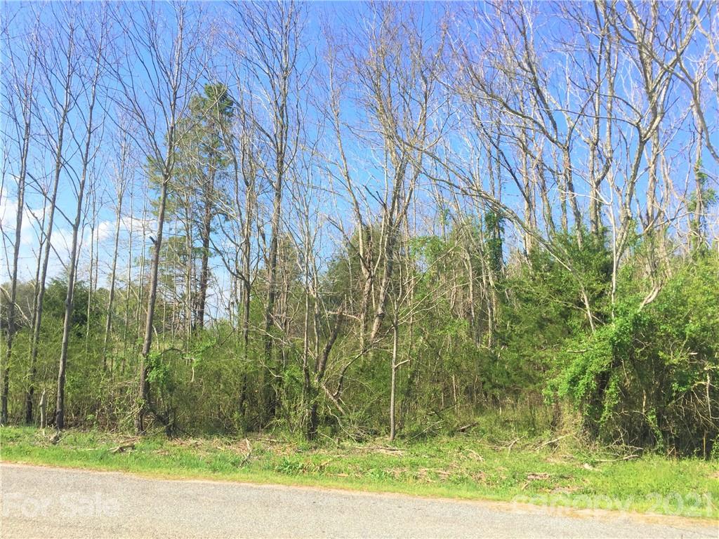 0 Scoggins Road Rutherfordton, NC 28139 - Photo 7 of 9 a view of a yard