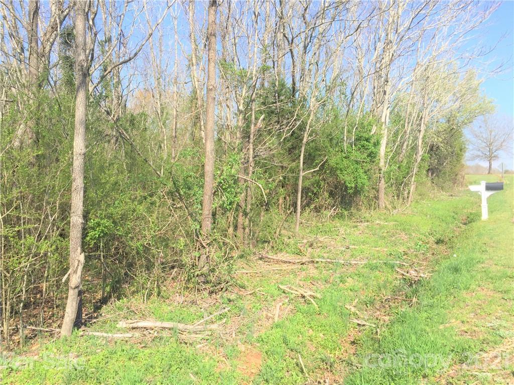0 Scoggins Road Rutherfordton, NC 28139 - Photo 8 of 9