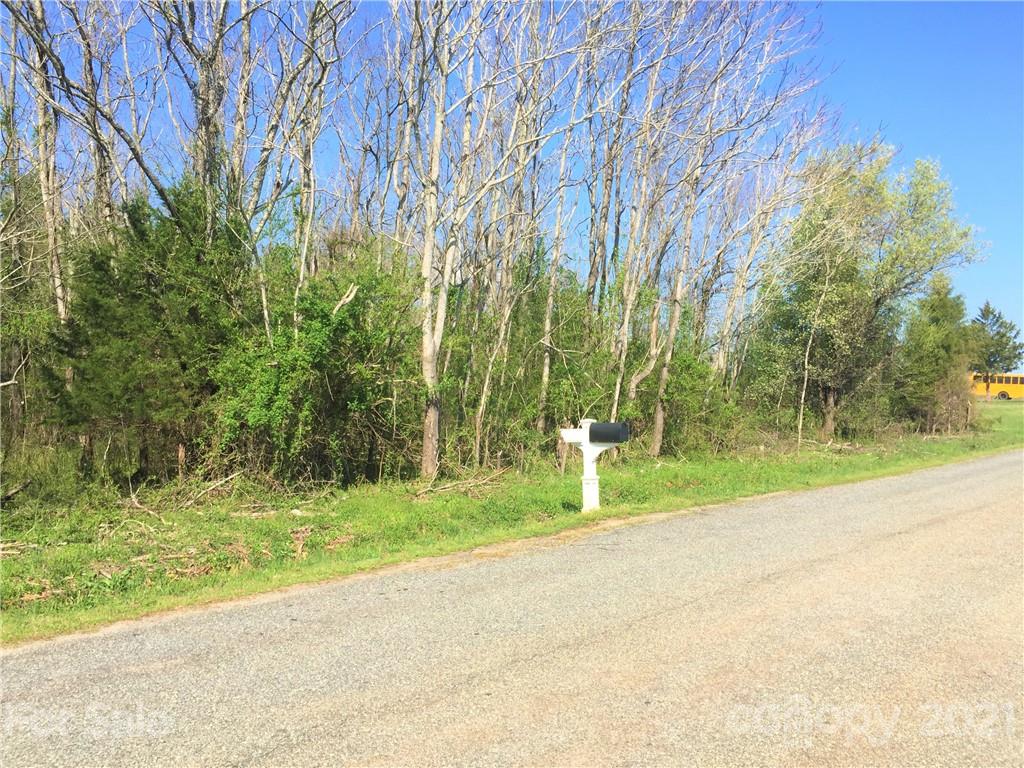 0 Scoggins Road Rutherfordton, NC 28139 - Photo 9 of 9
