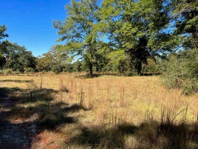 0 Unnamed Road Florala, AL 36442 - Photo 2 of 39 Gallery Image 2