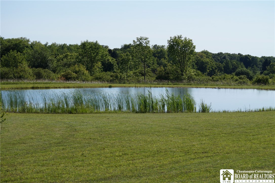 7497 Hall Road Charlotte, NY 14718 - Photo 29 of 30