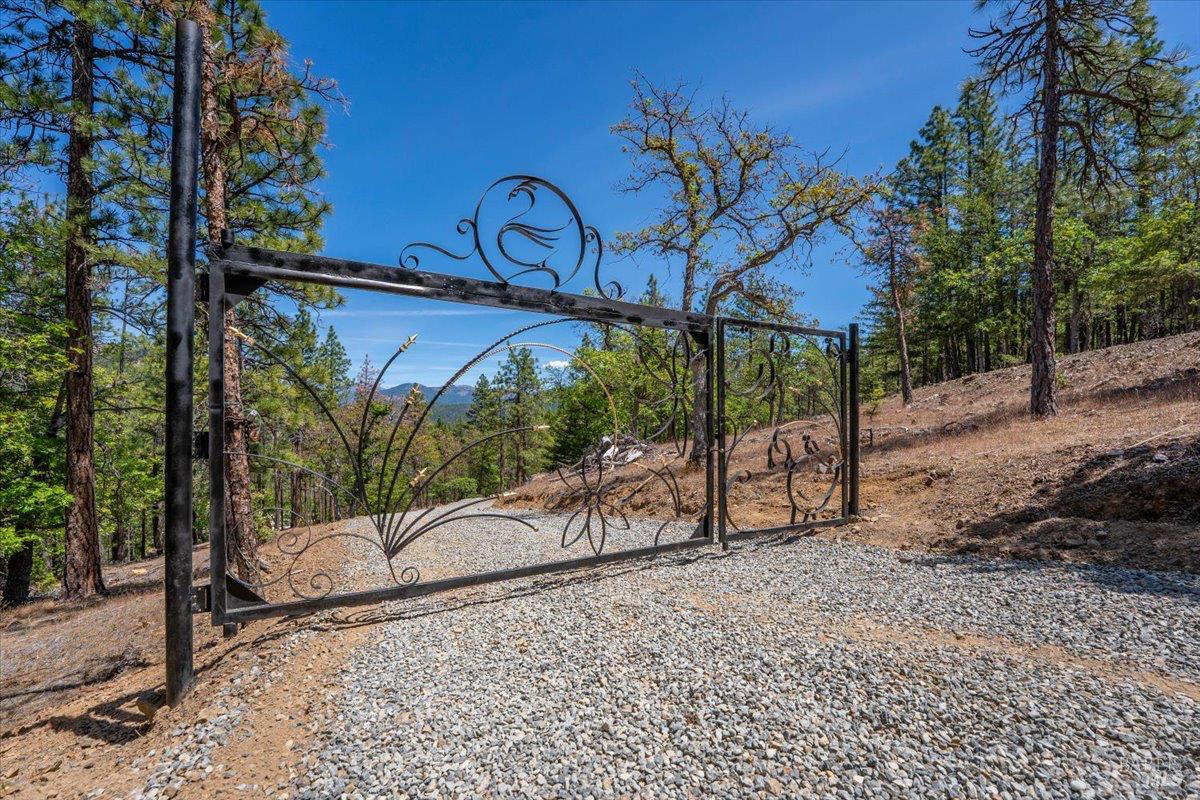 100 Blue Wolf Ranch Callahan, CA 96014 - Photo 43 of 46