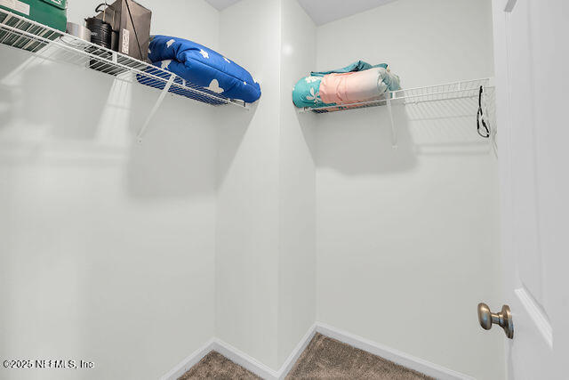 136 Peace River Road St. Johns, FL 32259 - Photo 21 of 52 a view of walk in closet