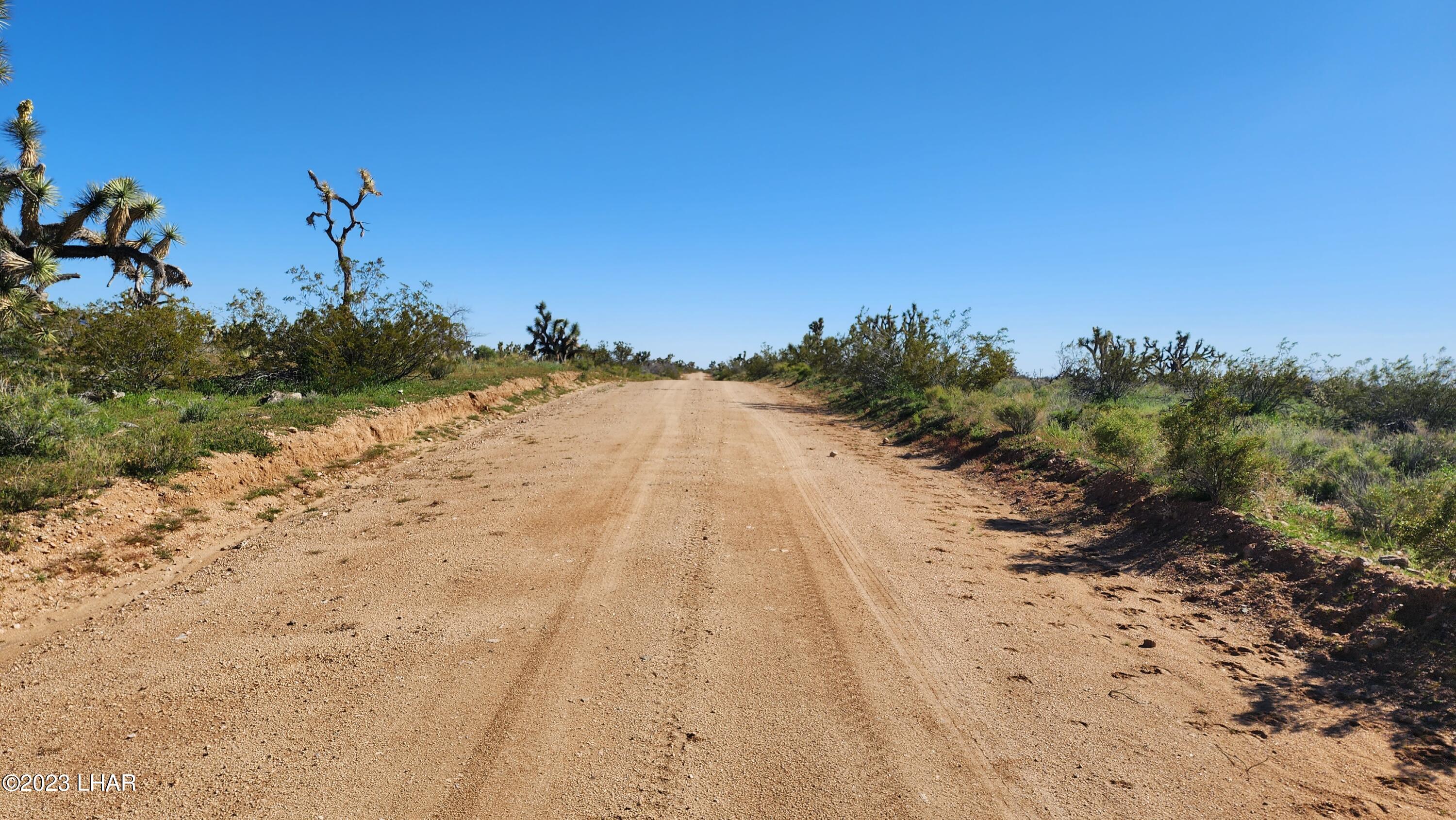 261 South Wagon Trail Road Yucca, AZ 86438 - Photo 12 of 43 South view from property