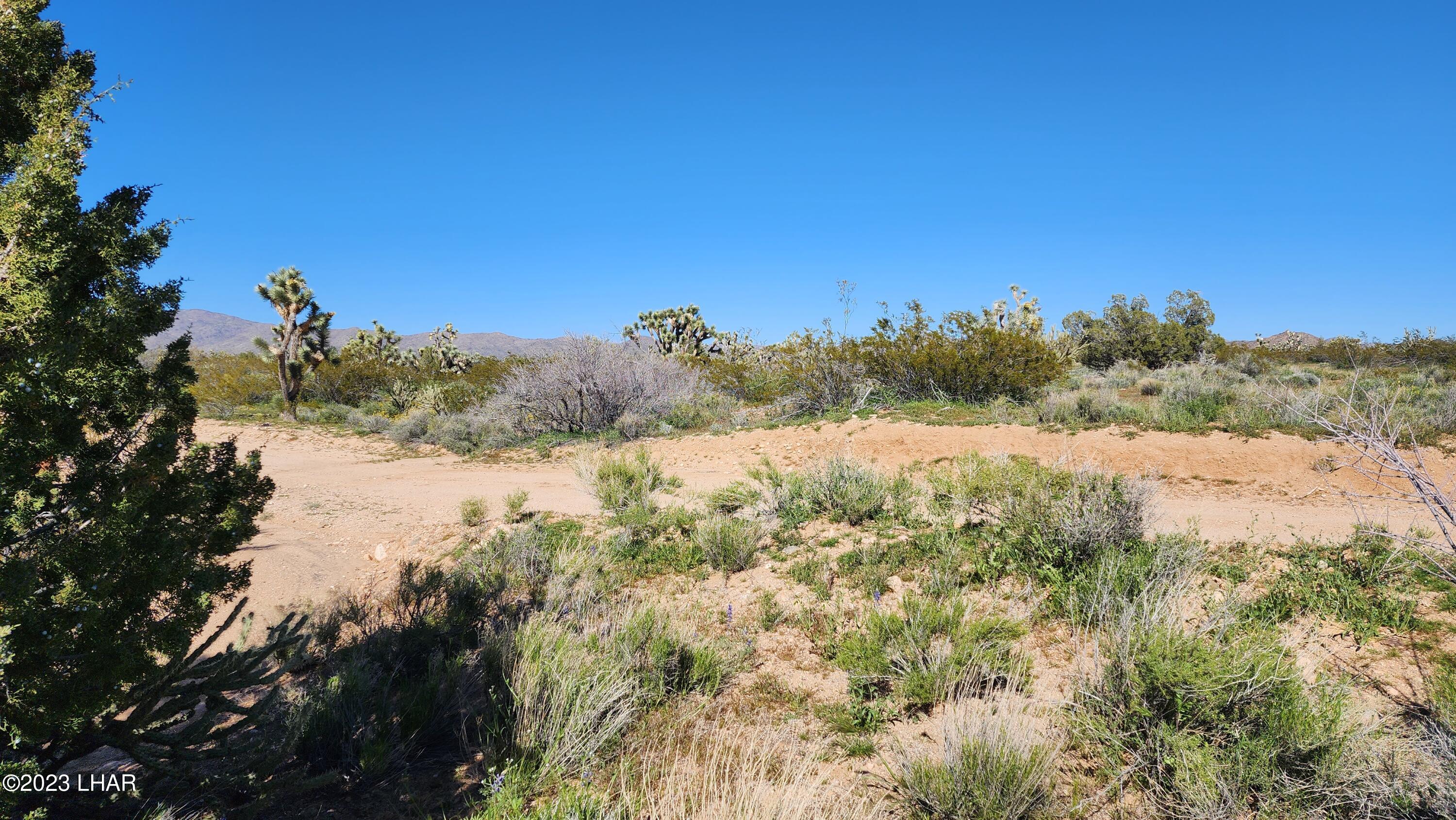 261 South Wagon Trail Road Yucca, AZ 86438 - Photo 31 of 43 20230402_155207