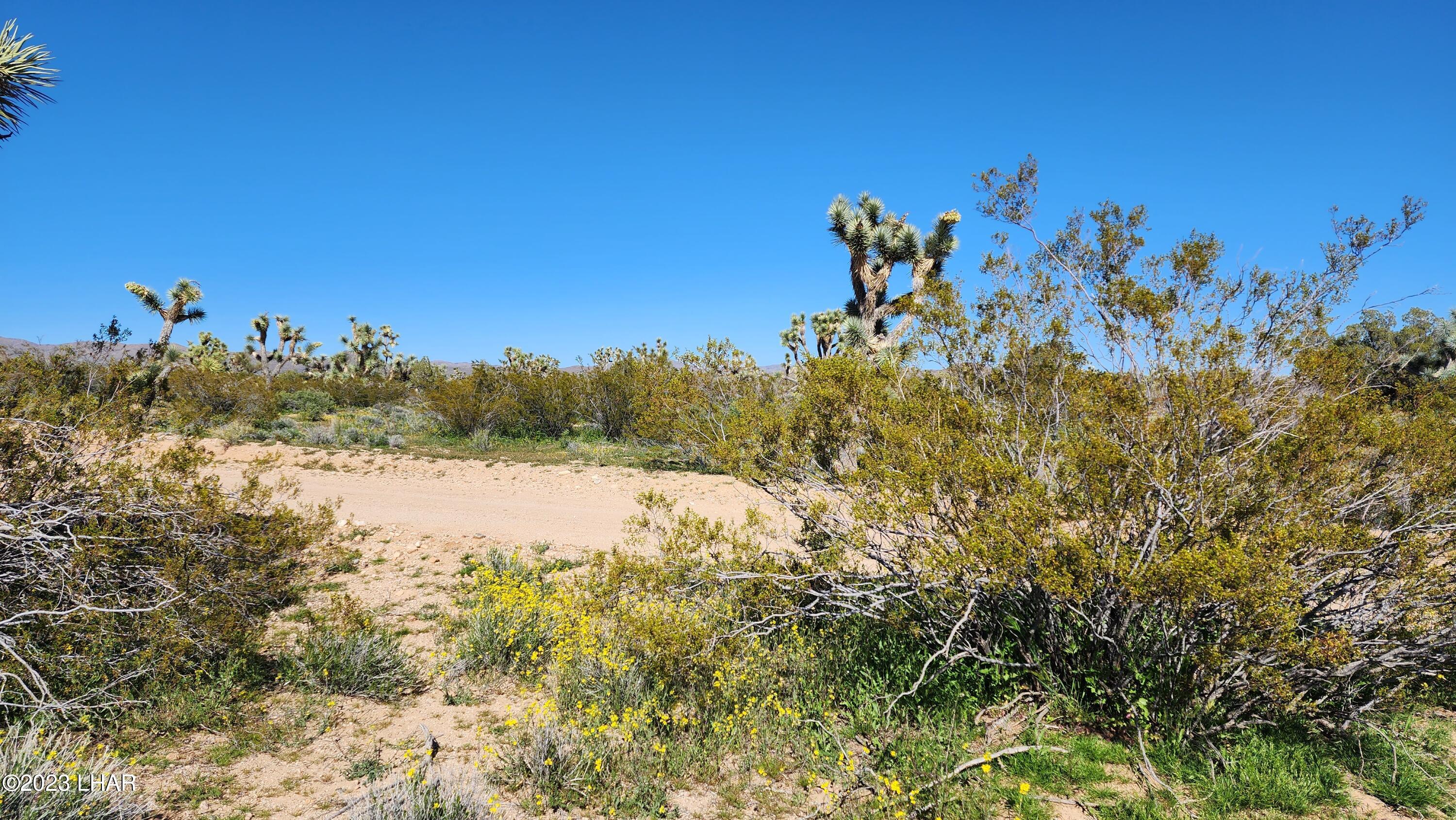261 South Wagon Trail Road Yucca, AZ 86438 - Photo 34 of 43 20230402_155324