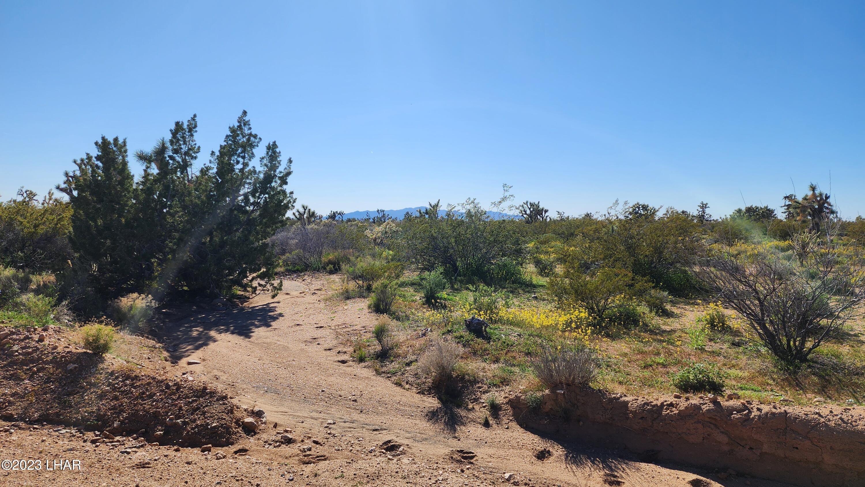 261 South Wagon Trail Road Yucca, AZ 86438 - Photo 40 of 43 20230402_155540