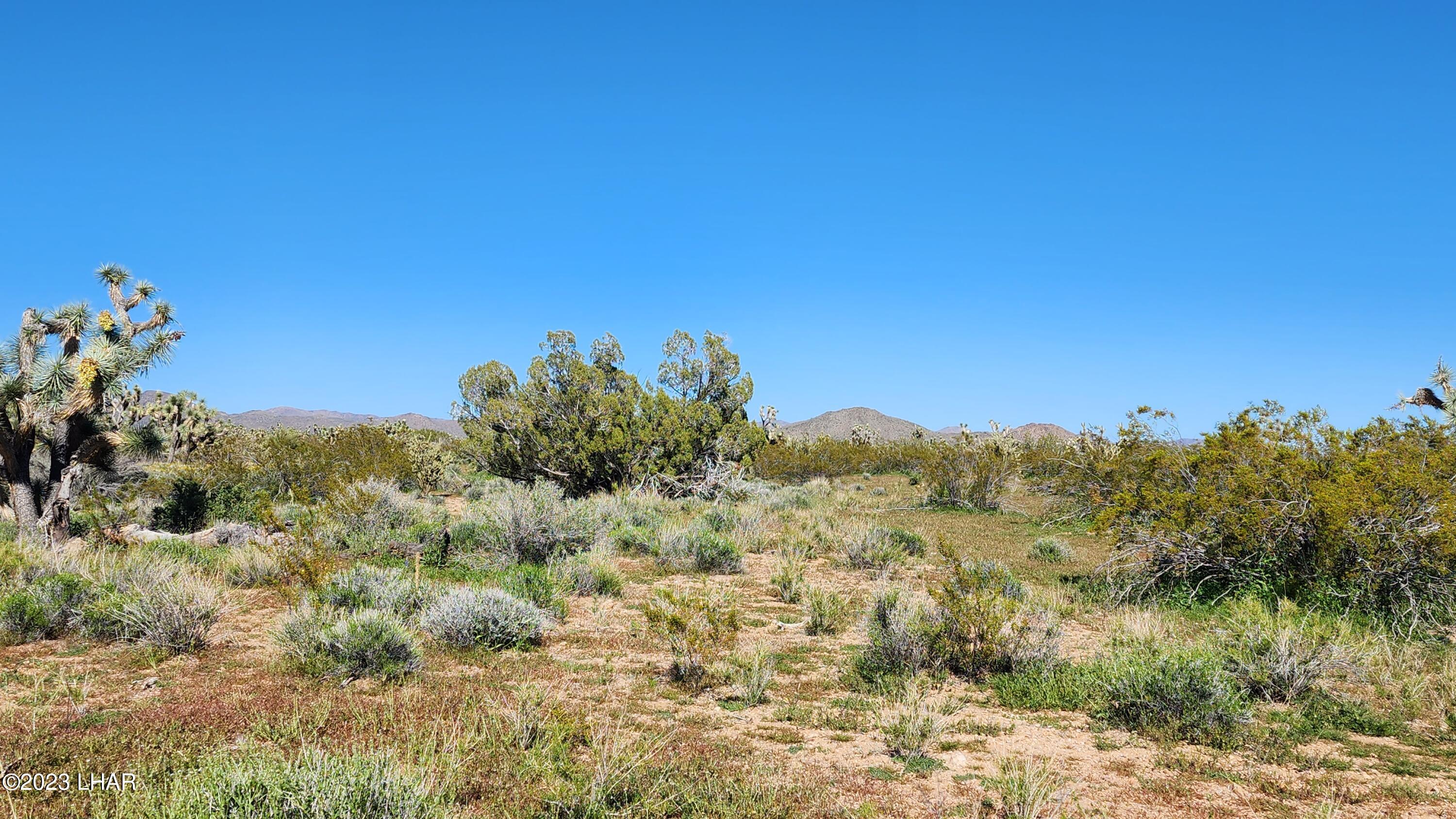 261 South Wagon Trail Road Yucca, AZ 86438 - Photo 42 of 43 20230402_155812