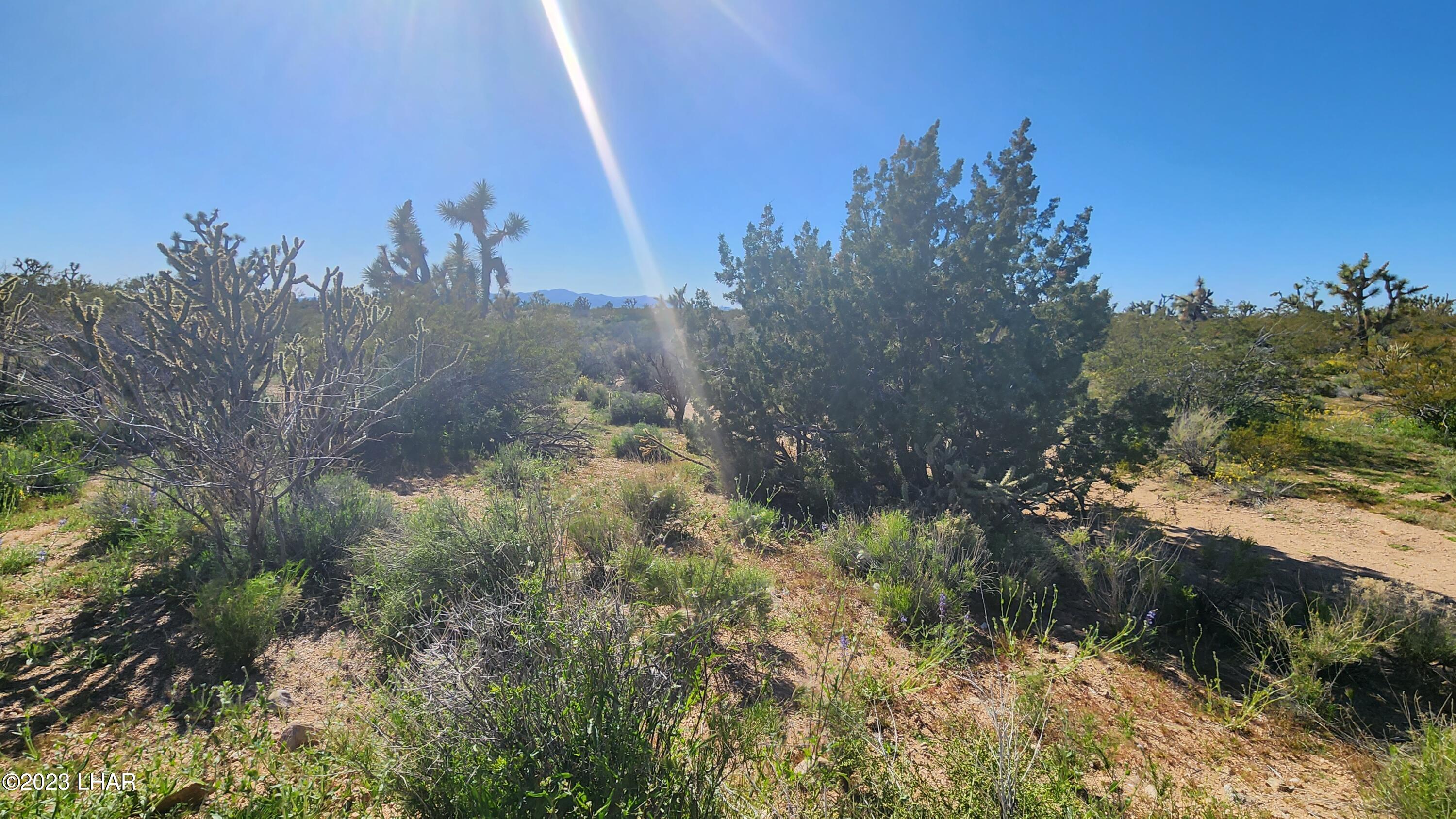 261 South Wagon Trail Road Yucca, AZ 86438 - Photo 5 of 43 Parcel 261 S Wagon Trail Rd