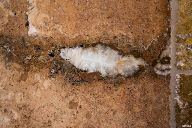 $1,395,000 | 1841 North 1400th Road, Dahinda, IL 61428