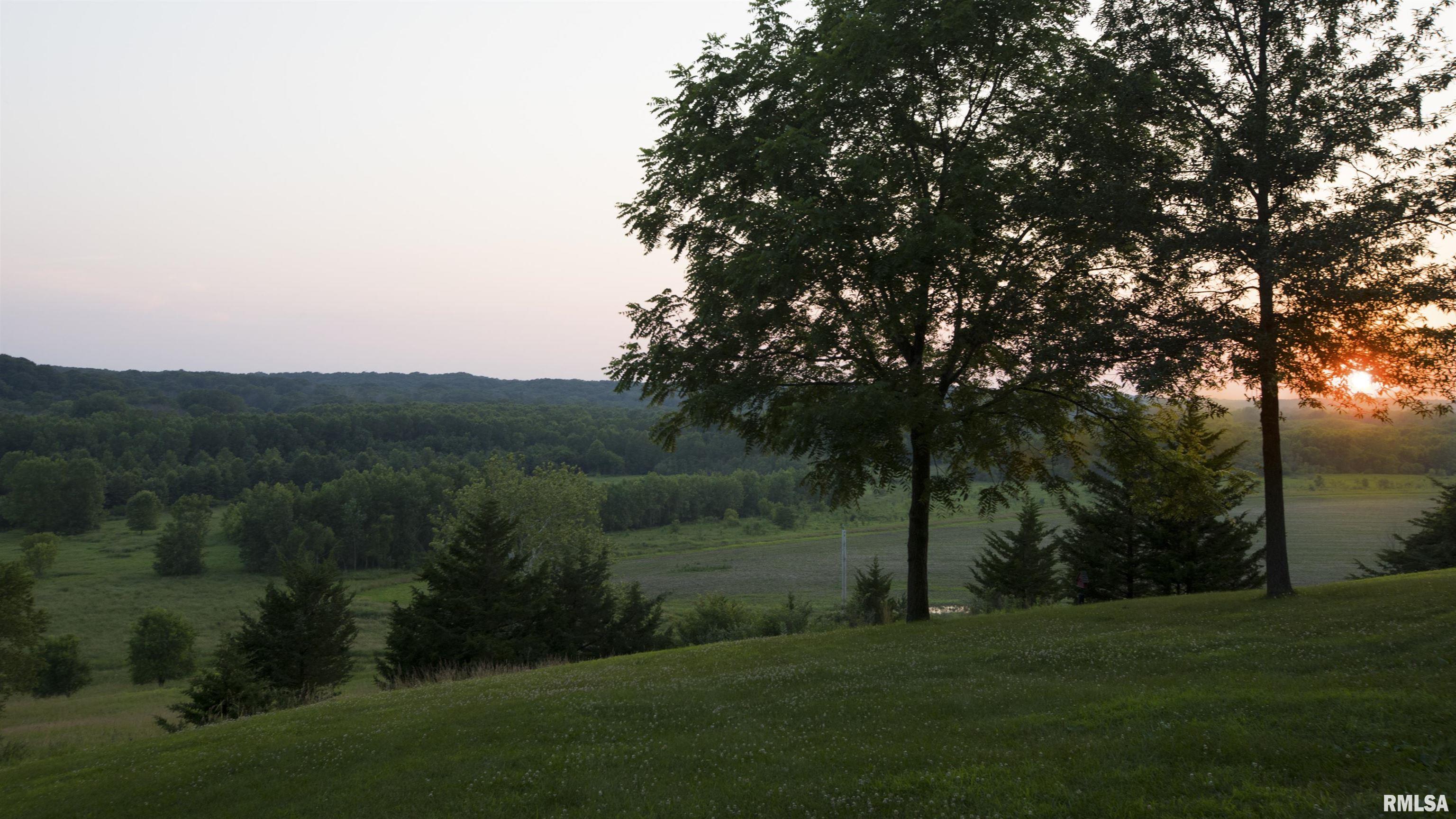 1841 North 1400th Road Dahinda, IL 61428 - Photo 44 of 69