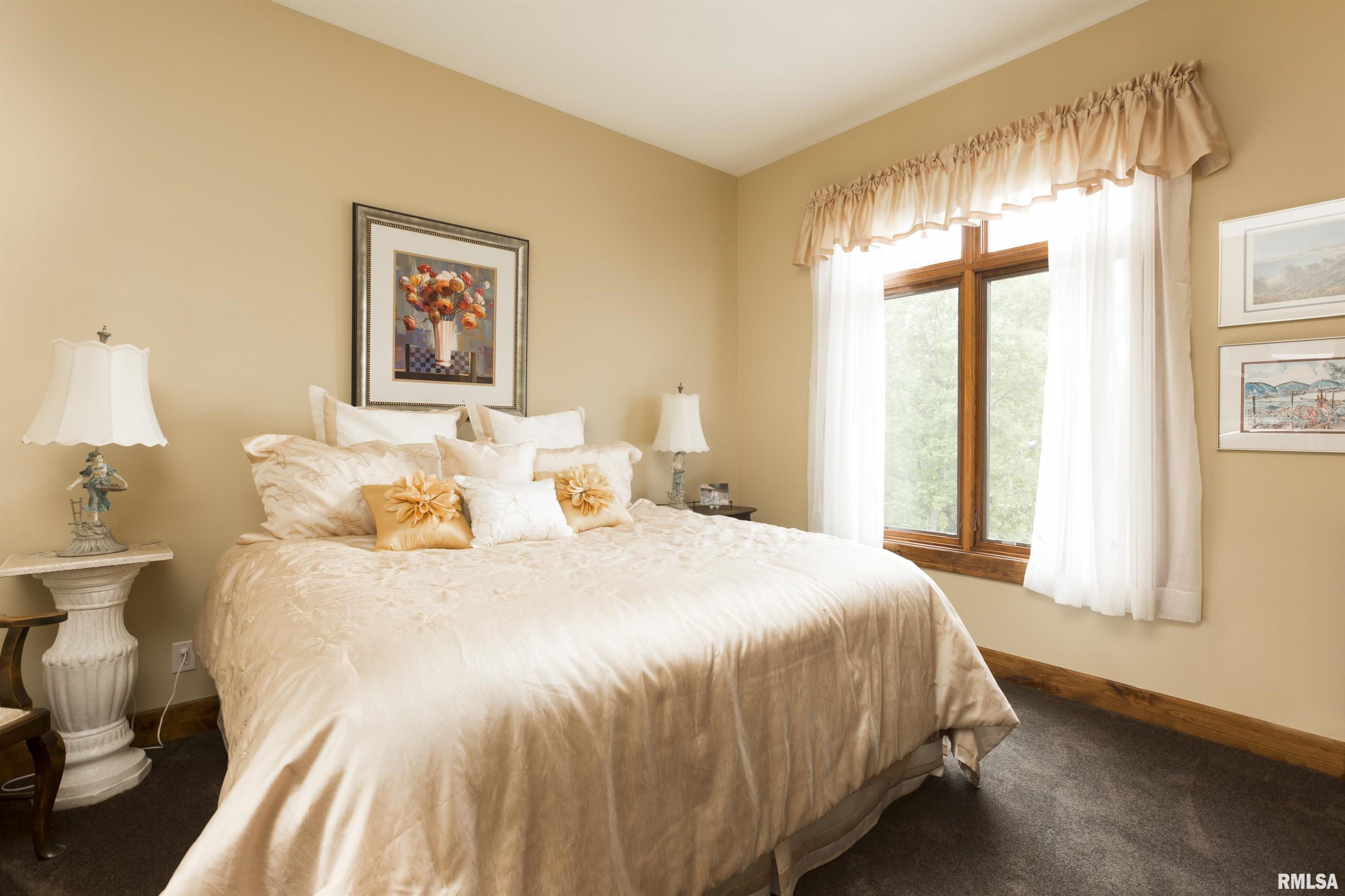 1841 North 1400th Road Dahinda, IL 61428 - Photo 57 of 69