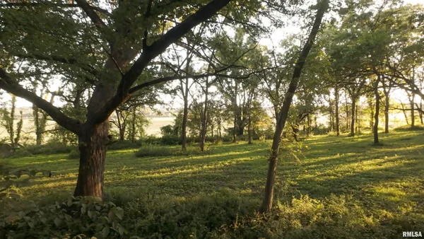 $1,395,000 | 1841 North 1400th Road, Dahinda, IL 61428