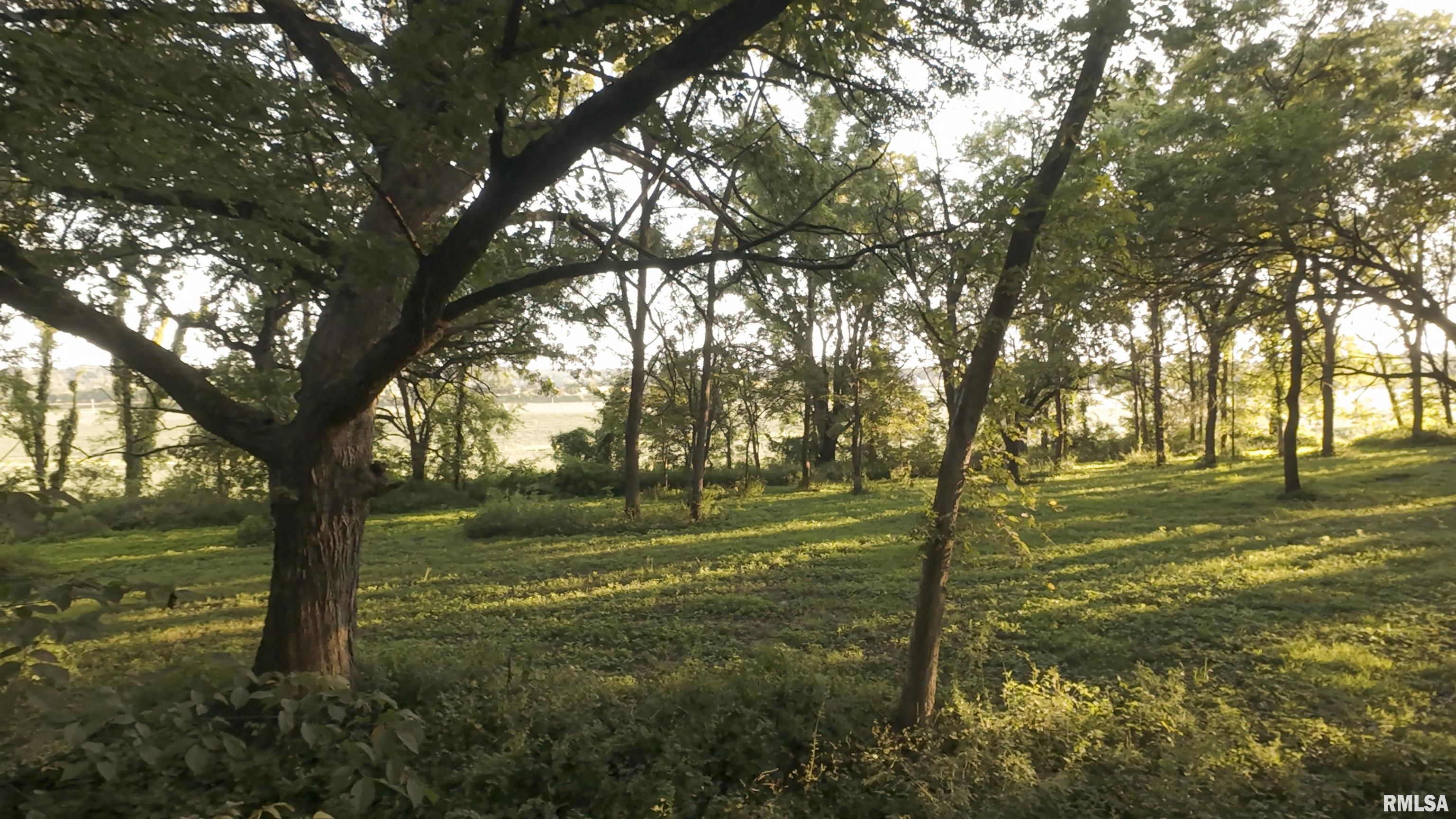 1841 North 1400th Road Dahinda, IL 61428 - Photo 62 of 69