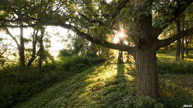 $1,395,000 | 1841 North 1400th Road, Dahinda, IL 61428