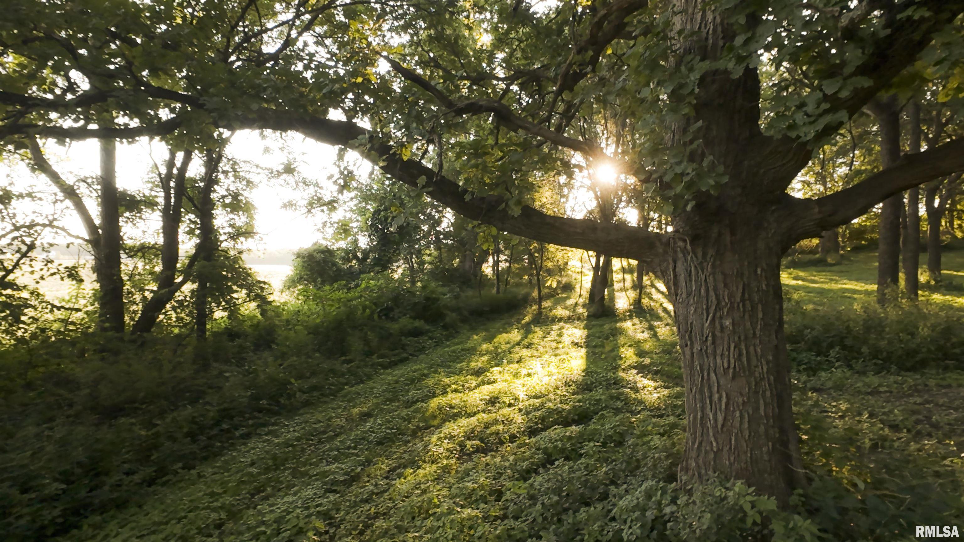1841 North 1400th Road Dahinda, IL 61428 - Photo 63 of 69