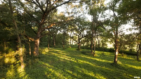 $1,395,000 | 1841 North 1400th Road, Dahinda, IL 61428