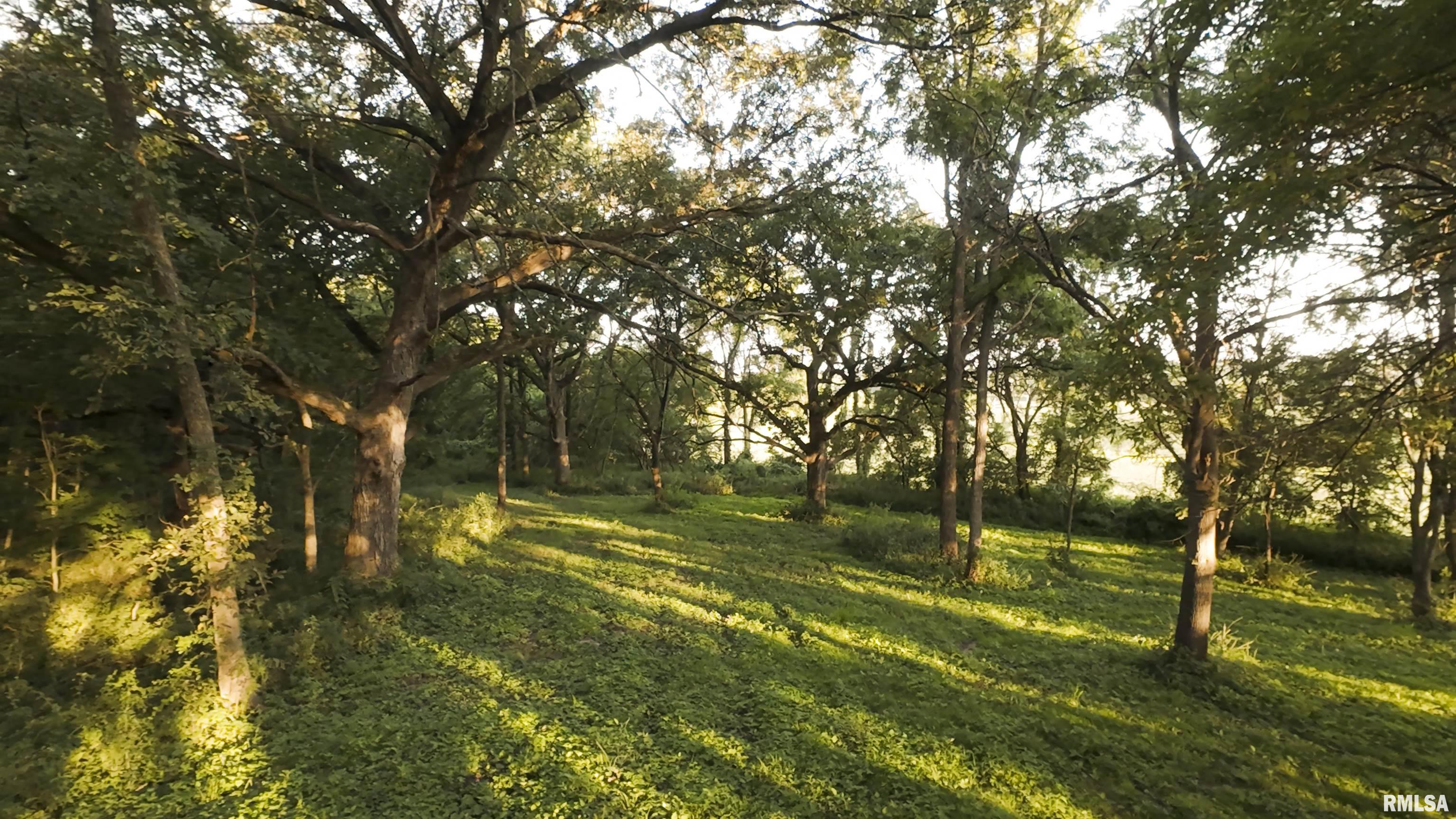 1841 North 1400th Road Dahinda, IL 61428 - Photo 64 of 69