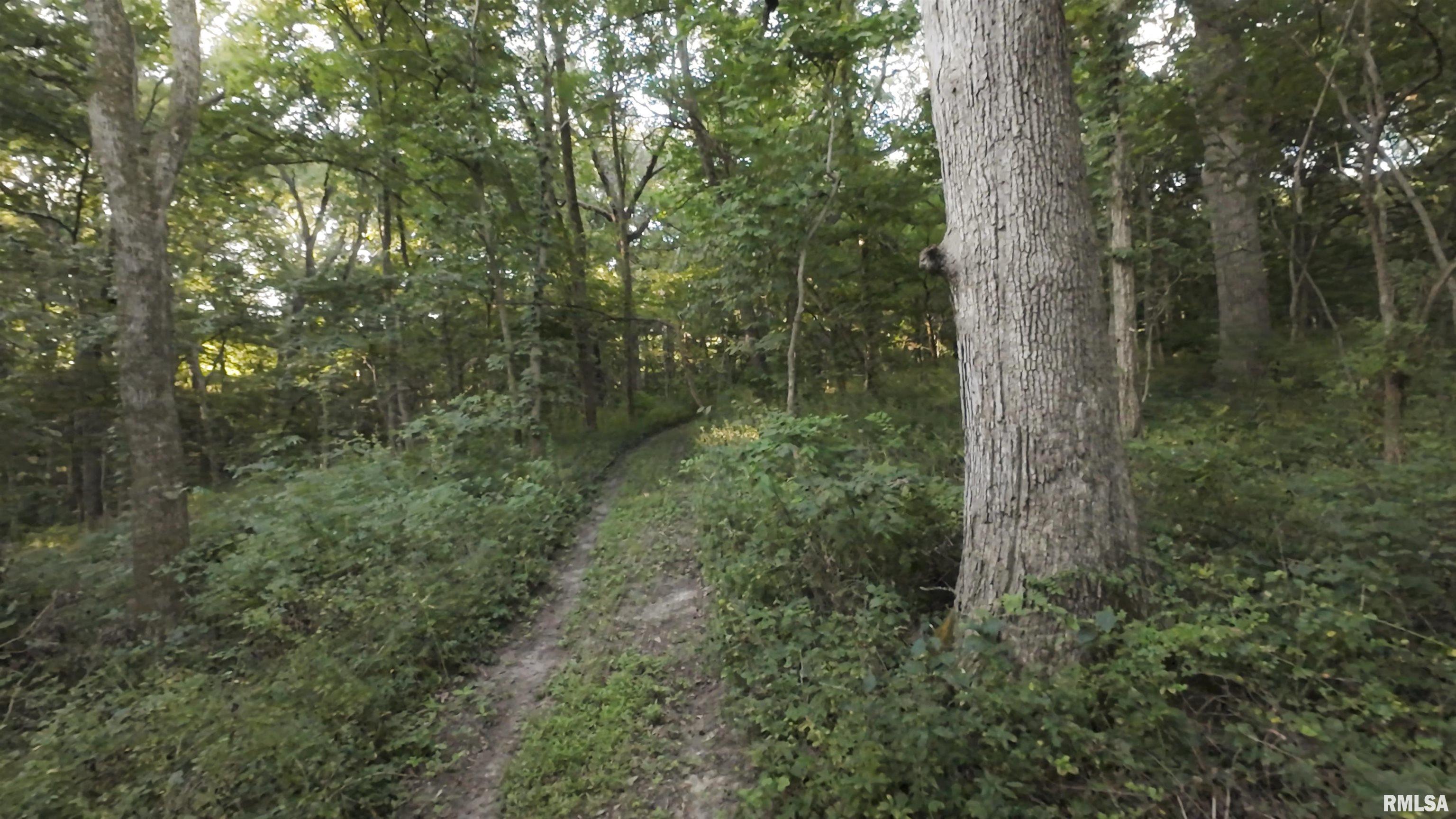 1841 North 1400th Road Dahinda, IL 61428 - Photo 65 of 69