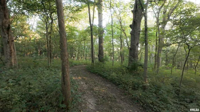 $1,395,000 | 1841 North 1400th Road, Dahinda, IL 61428