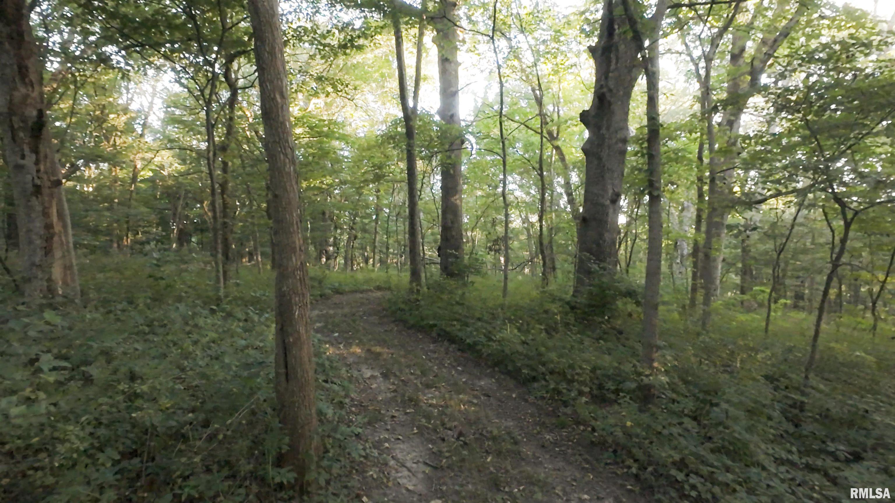 1841 North 1400th Road Dahinda, IL 61428 - Photo 66 of 69