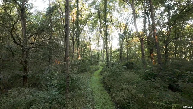 $1,395,000 | 1841 North 1400th Road, Dahinda, IL 61428