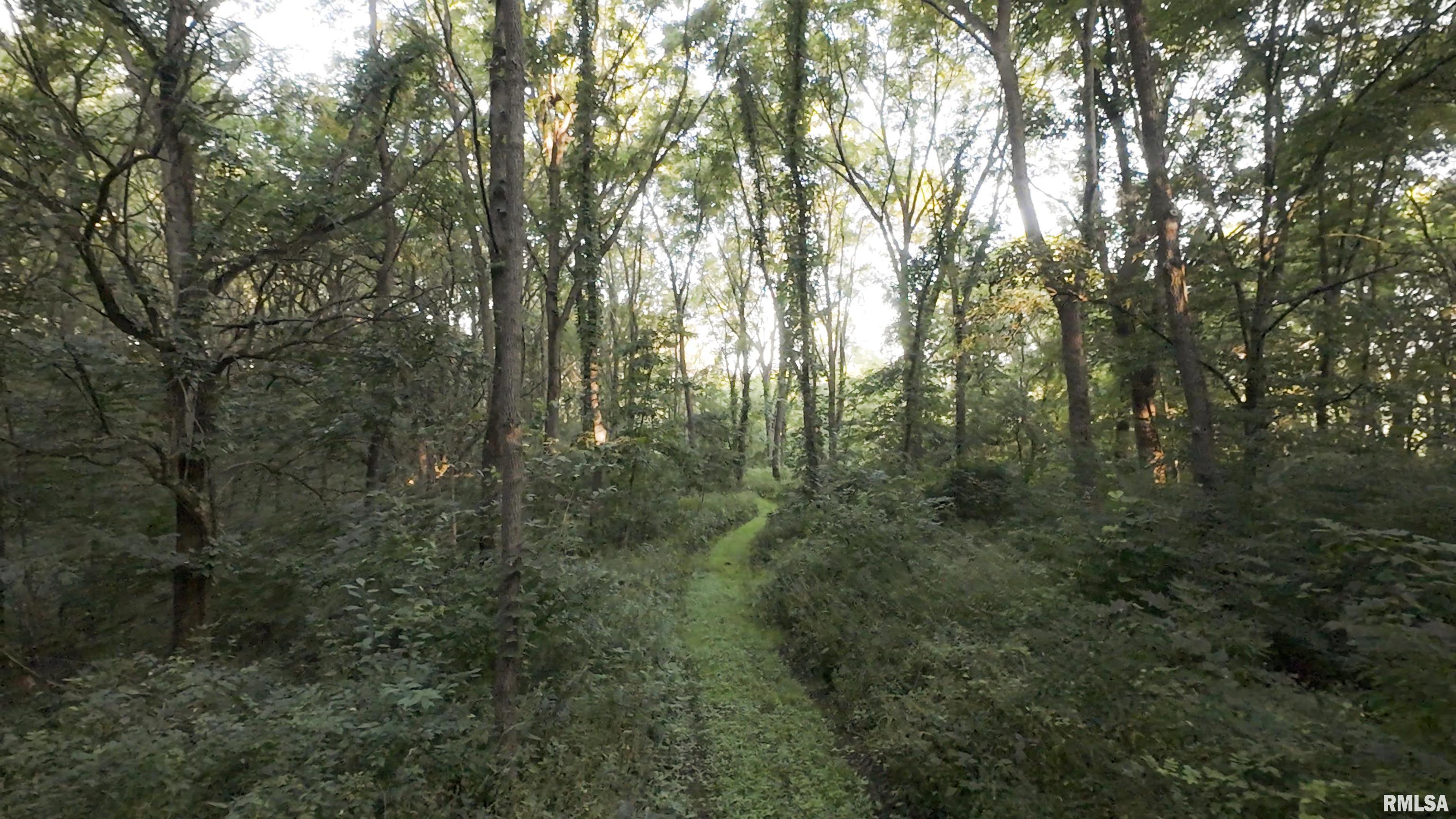 1841 North 1400th Road Dahinda, IL 61428 - Photo 67 of 69