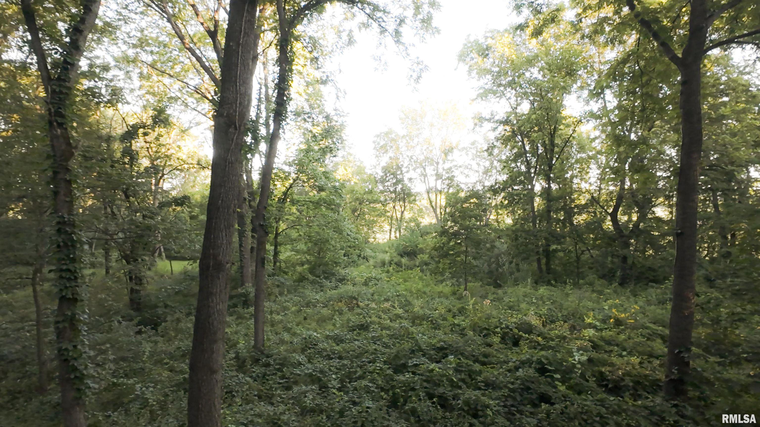 1841 North 1400th Road Dahinda, IL 61428 - Photo 68 of 69