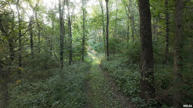 $1,395,000 | 1841 North 1400th Road, Dahinda, IL 61428