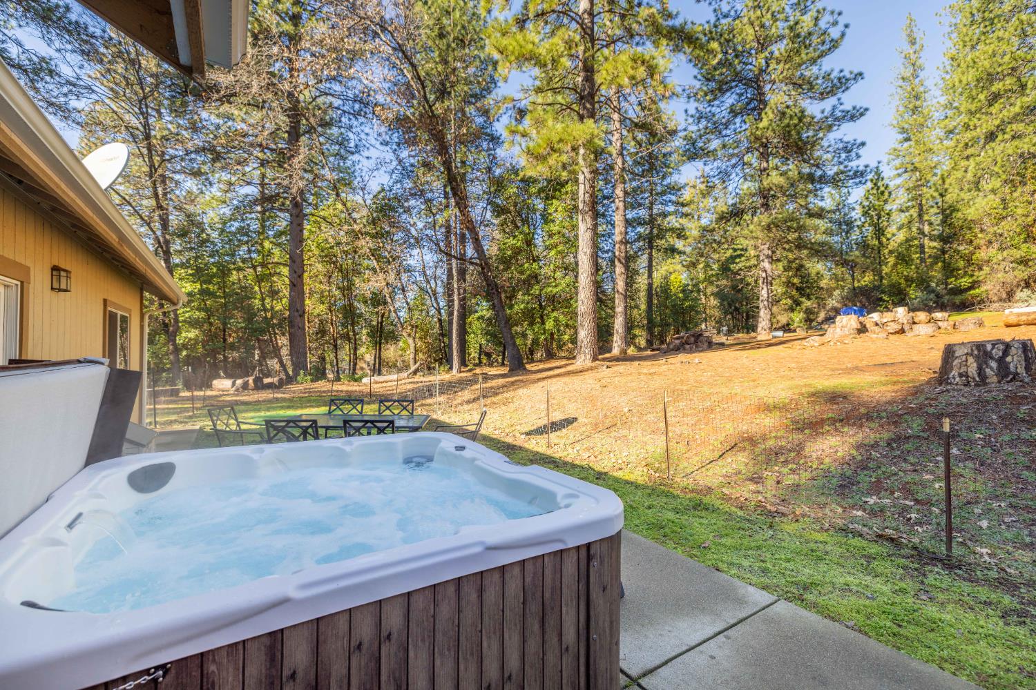 6843 Log Cabin Lane Placerville, CA 95667 - Photo 1 of 49 a view of a backyard with large trees